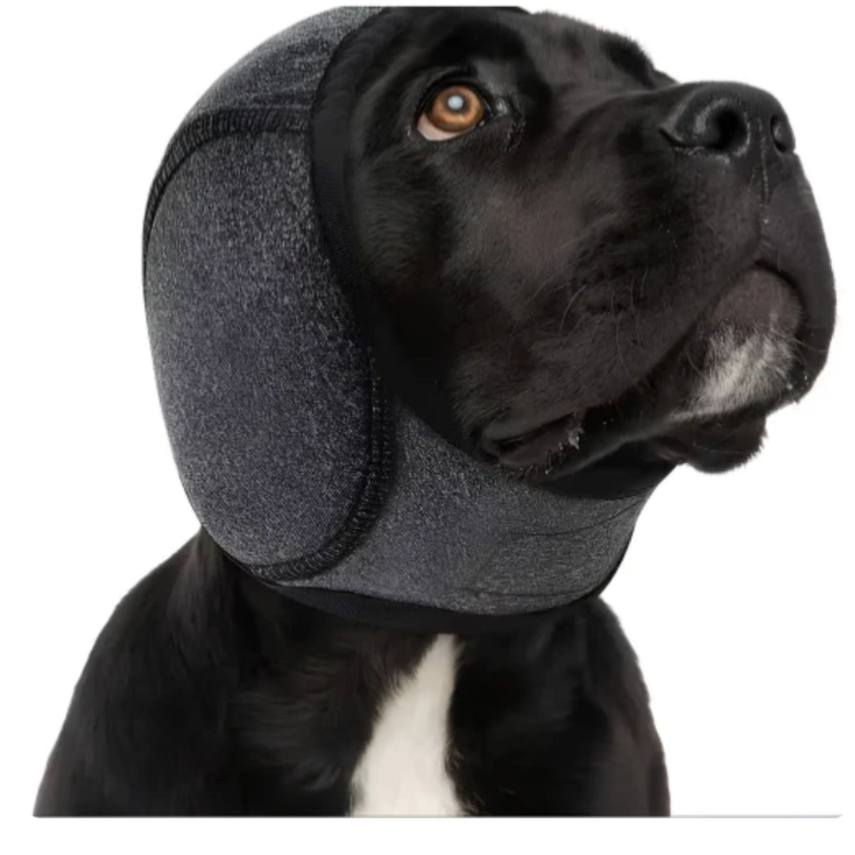 Mufflo Calming Ear Muffs